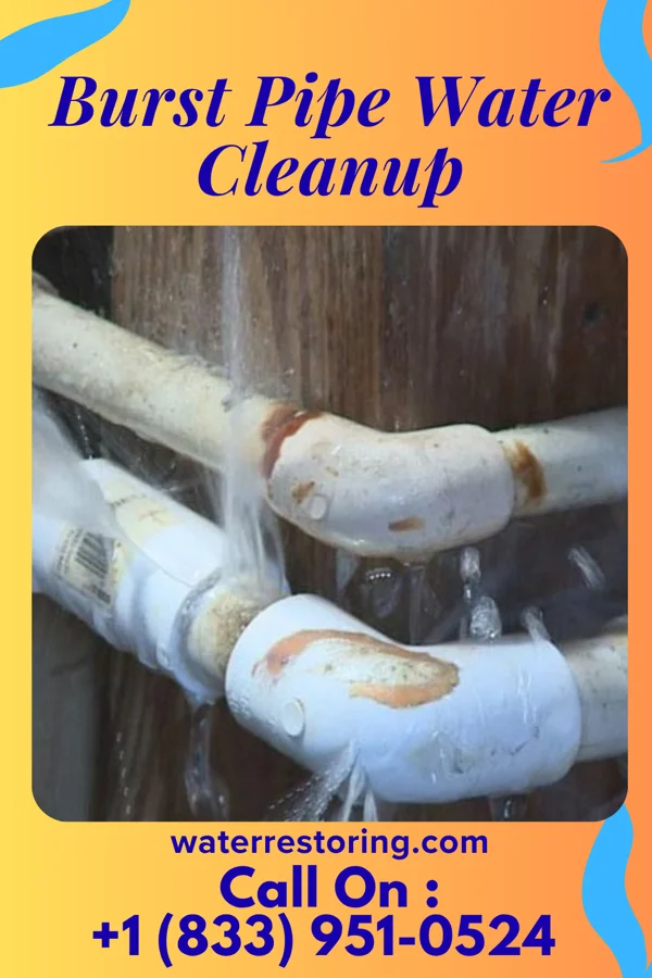 Burst Pipe Water Cleanup in Bejou, MN