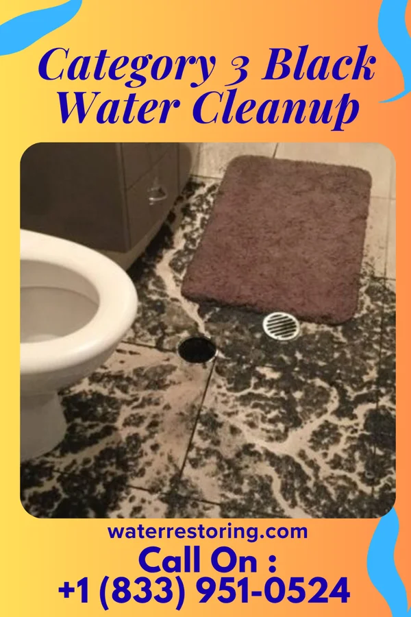 Category 3 Black Water Cleanup in Bejou, MN