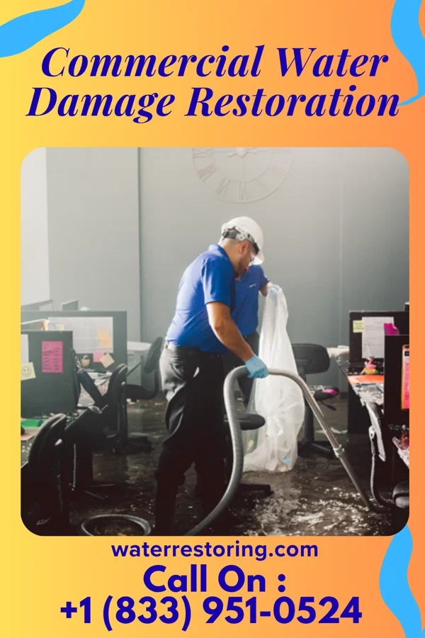 Commercial Water Damage Restoration in Bejou, MN